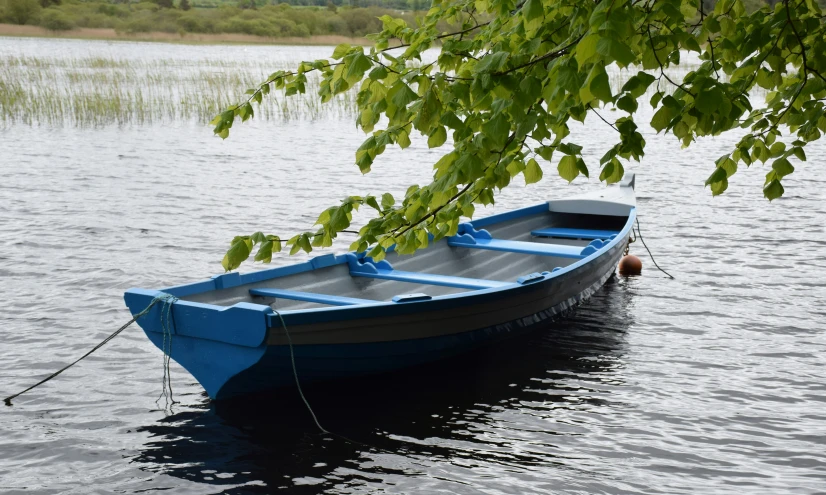 a blue boat sitting in the water under some trees