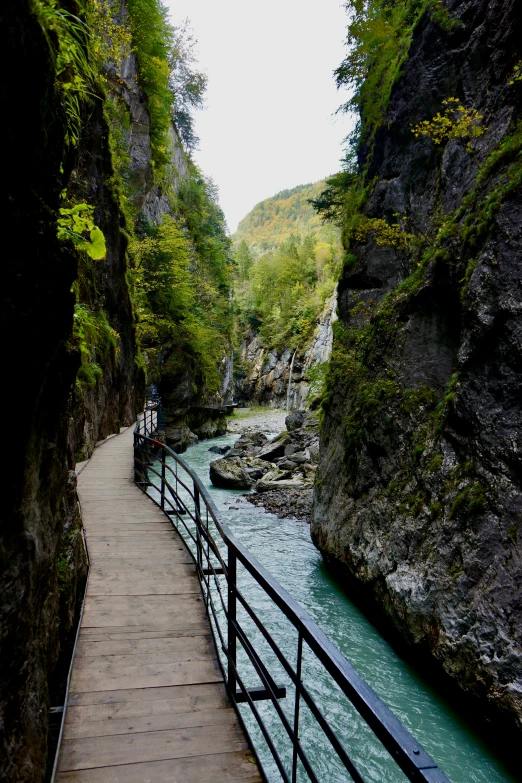 a couple of people standing on a bridge over a river