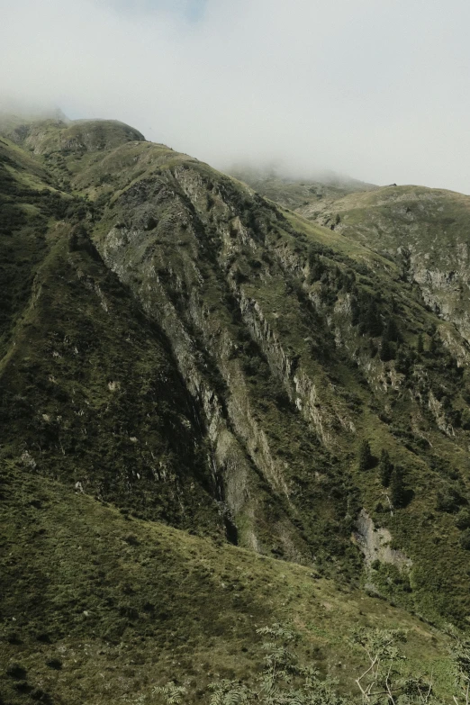 a long brown horse standing in front of the mountains