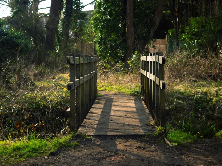 a foot bridge and a gate in a wooded area