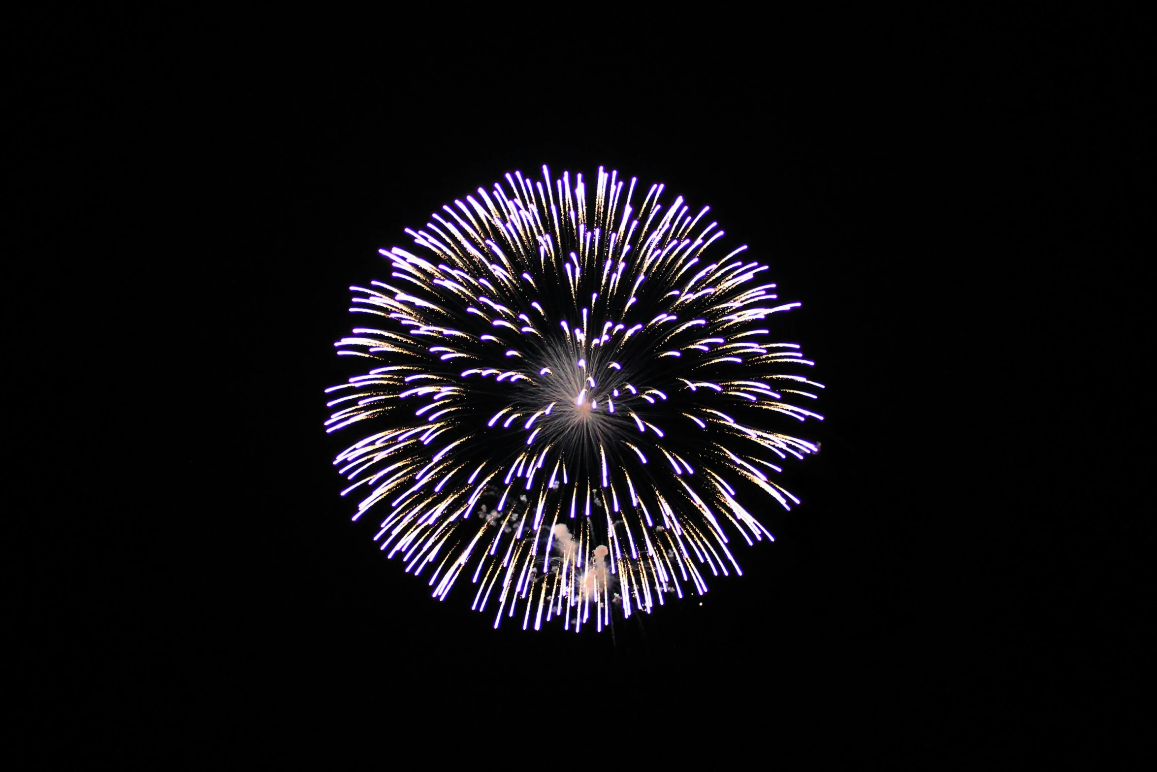 a colorful fireworks is lit up the sky