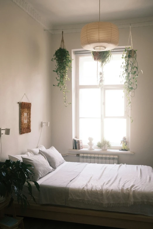 a white room with a large window and two plants