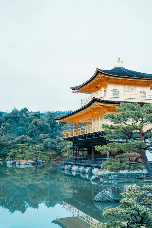 the pagoda is perched atop a high tree in front of a pond