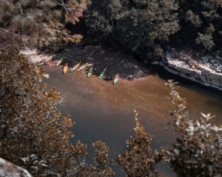 a group of surf boards sitting on the edge of a river