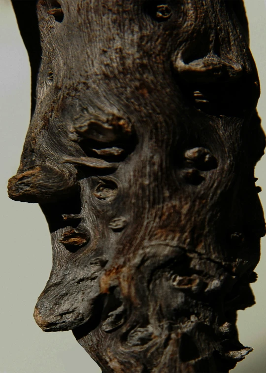 a close up of a wood carving sculpture
