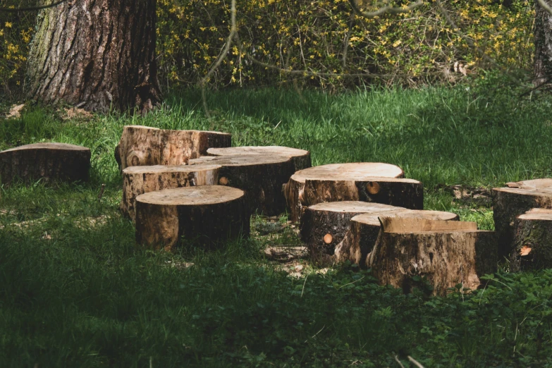 a group of wooden logs that are out in a field