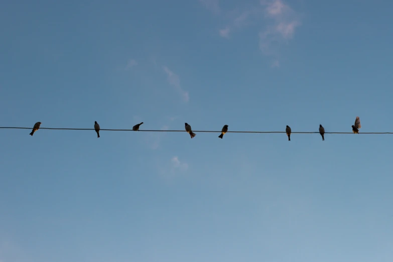 five birds are sitting on the wires looking up at the sky