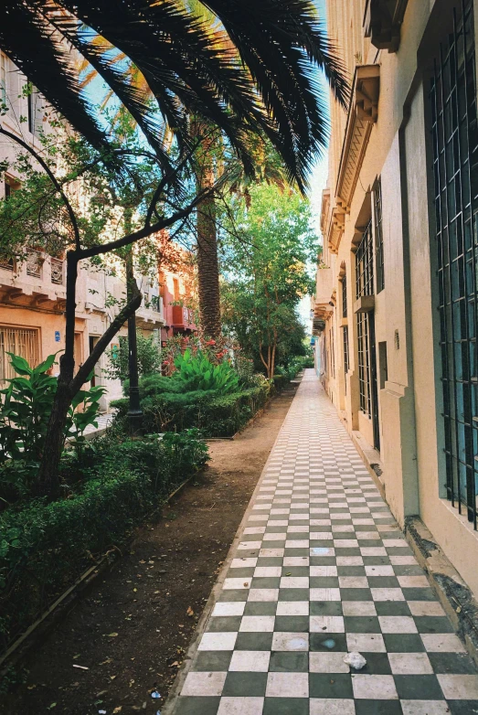 palm trees line a street in front of a el