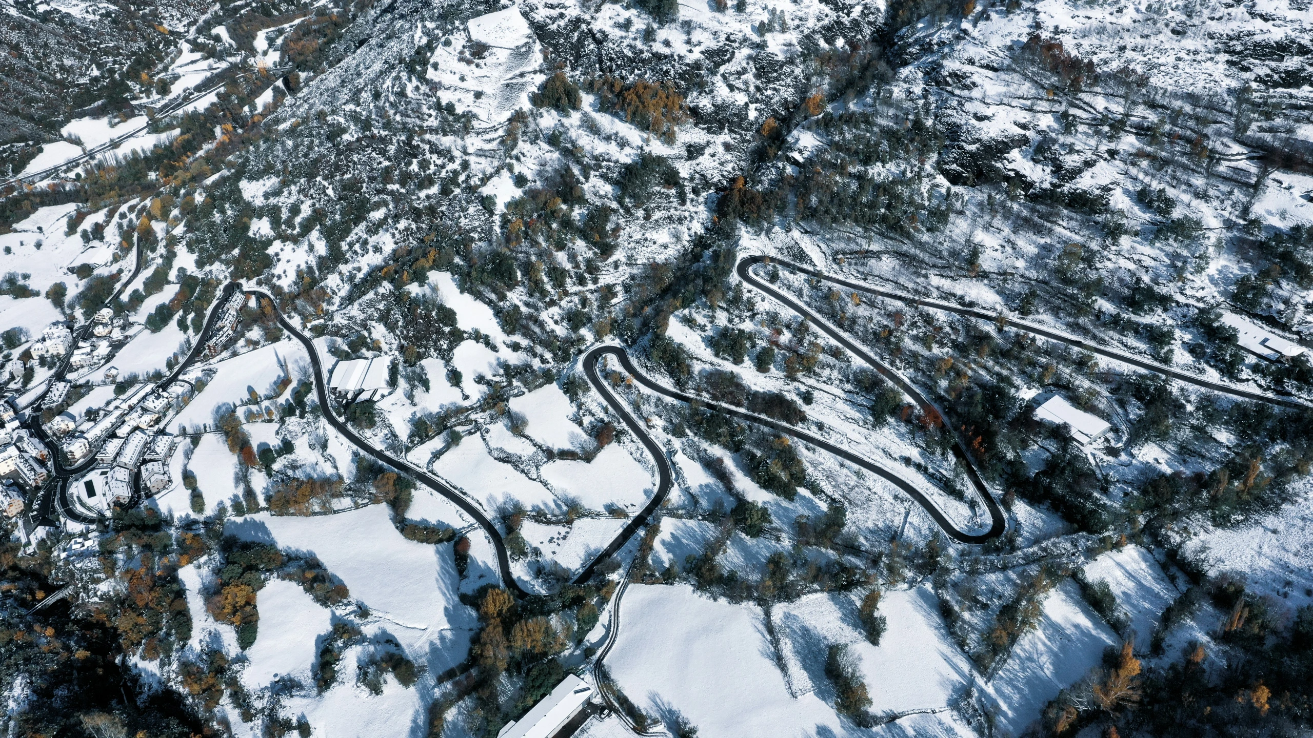 aerial view of snowy woods and road markings