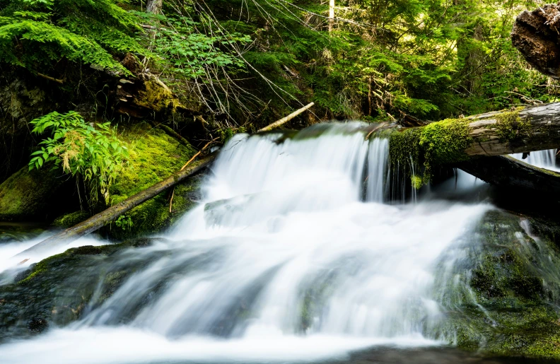 a waterfall running through a green forest filled with water