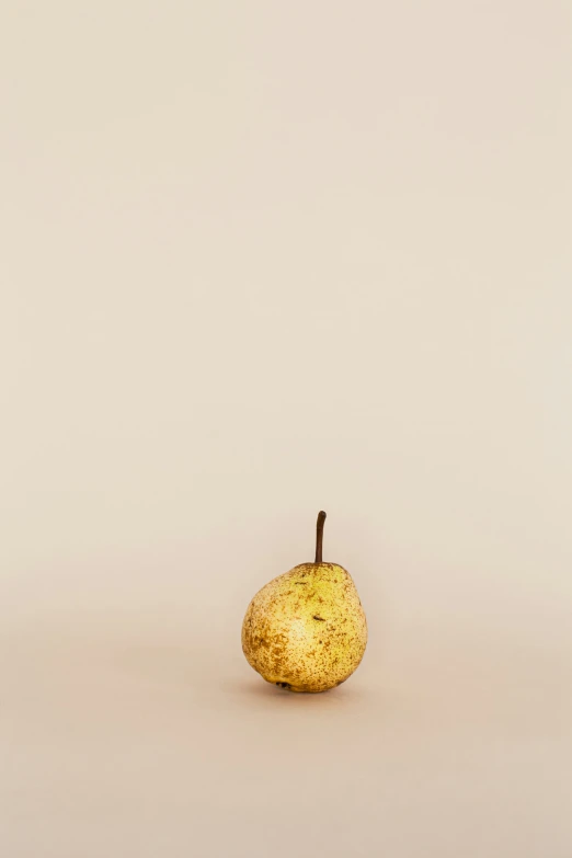 there is an apple on the floor in the room