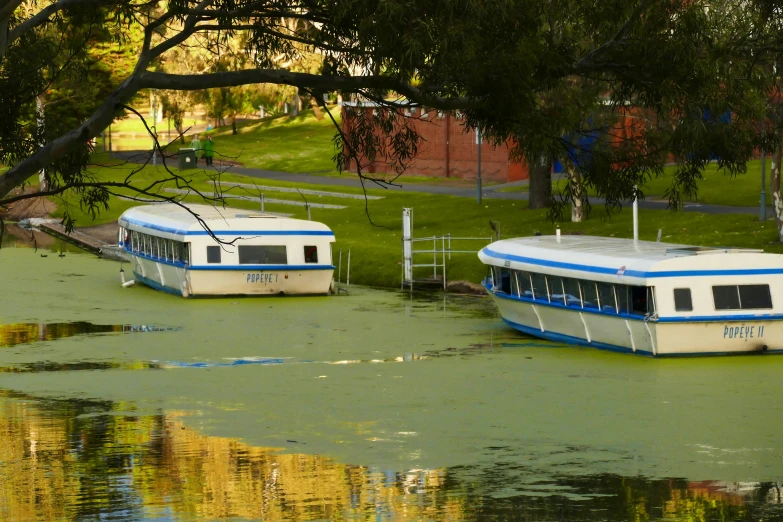 two boats sit in a pond on a sunny day