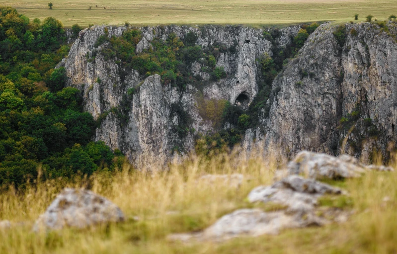 an elephant that is sitting on a cliff in the grass