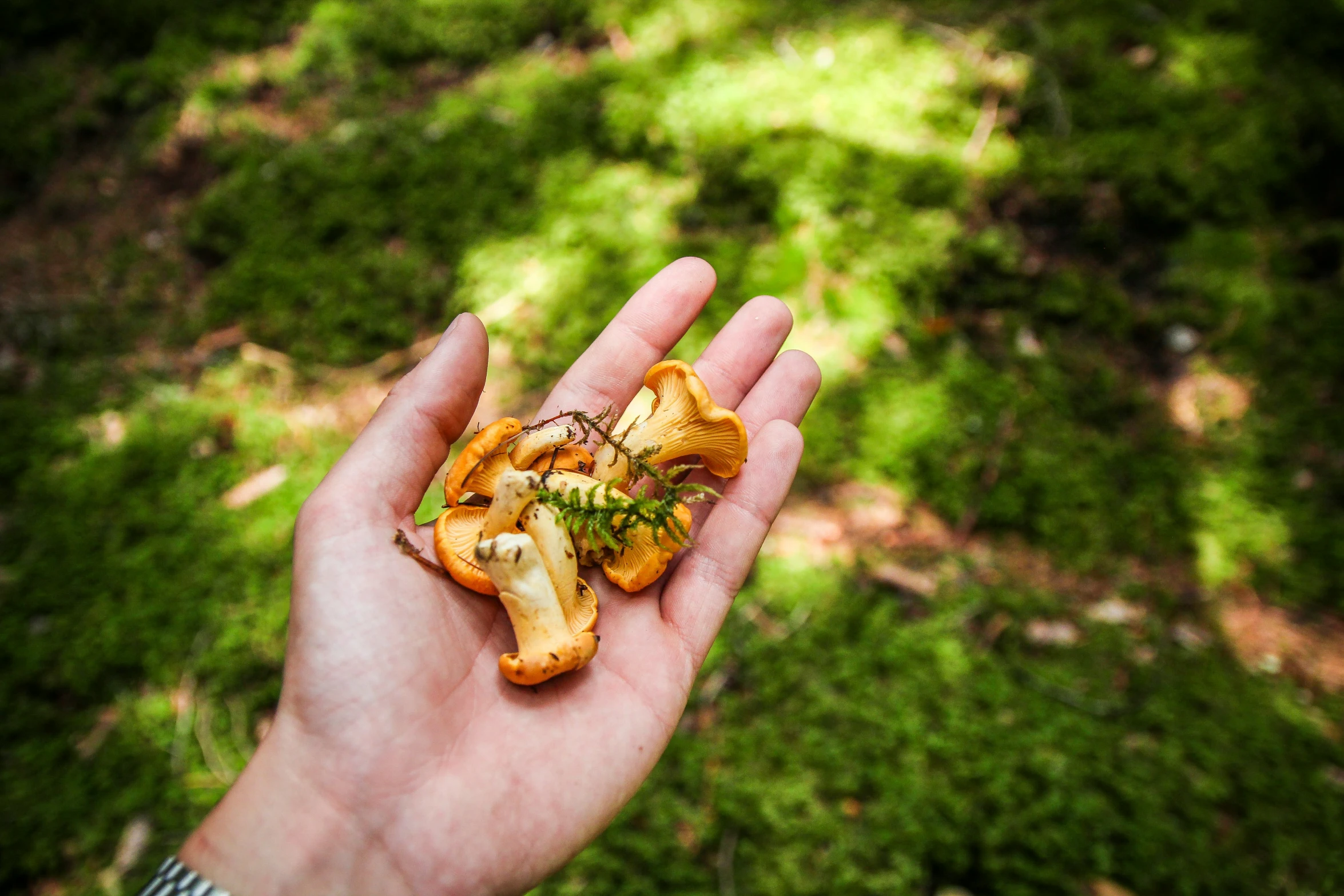 a persons hand holding a piece of small food