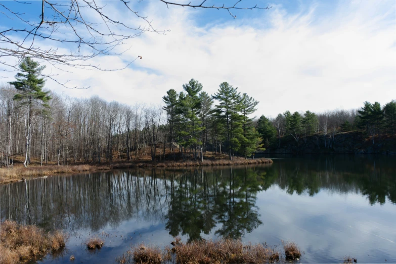 a scenic scene with trees, water and land