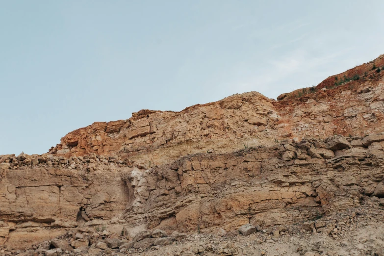 an animal sitting on a rock wall in the middle of nowhere