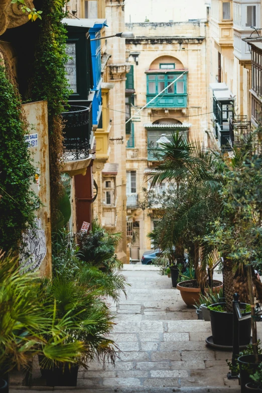 a very tall building with lots of windows and green plants