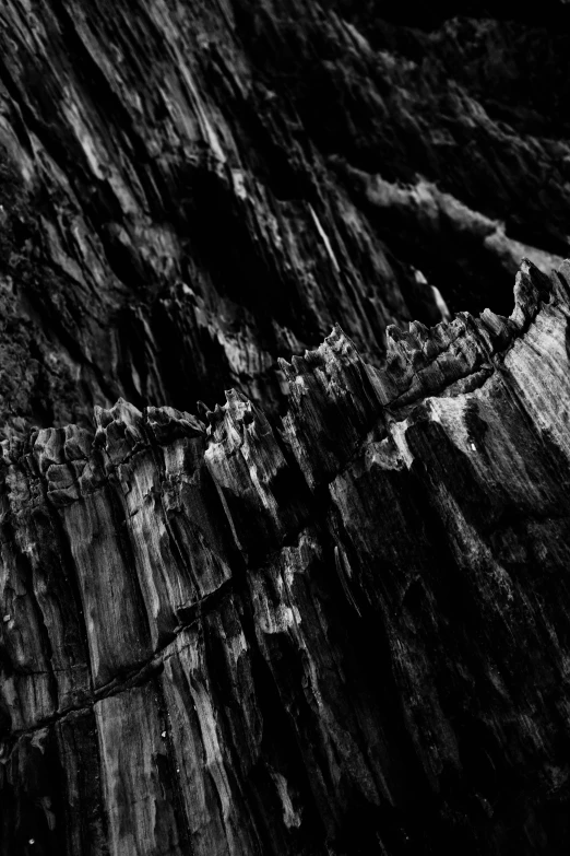 an image of rock climbing climbers over the face