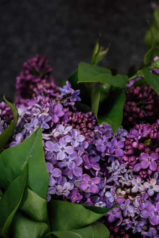 some lavender flowers in a basket that i have on display