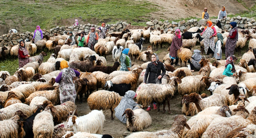a flock of sheep and some women in dress