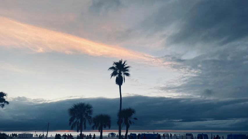 two palm trees near the ocean with people on the beach nearby