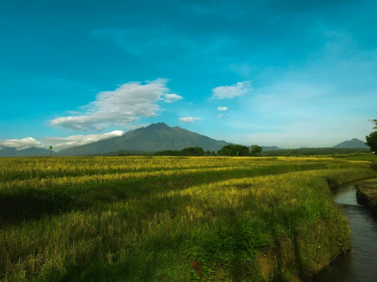 grassy landscape with stream in foreground and distant mountain range in distance