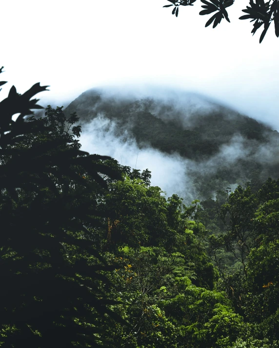 a view of a mountain in the distance with trees surrounding it