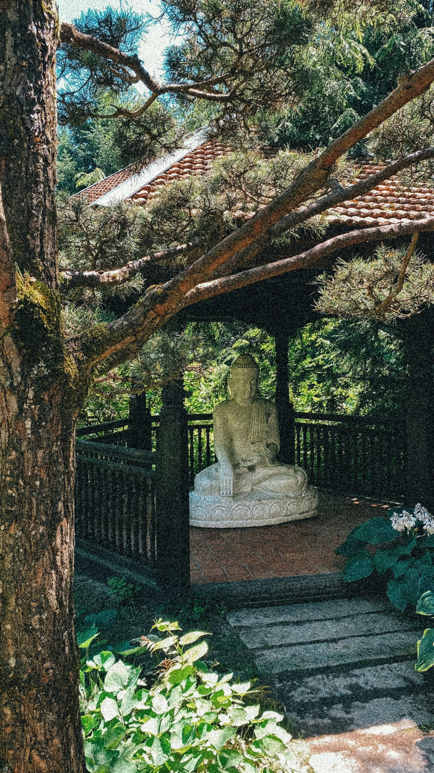 a bench sitting next to a lush green forest