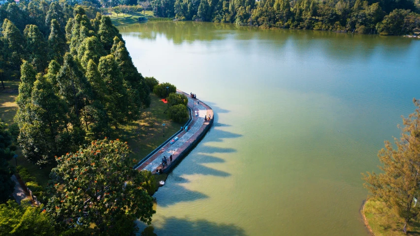 an aerial view of a tree lined, placid lake