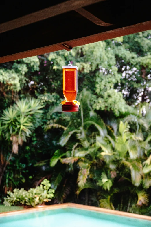 the bird feeder is hanging upside down next to a pool