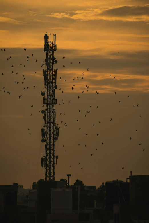 birds fly in the air around an electrical tower