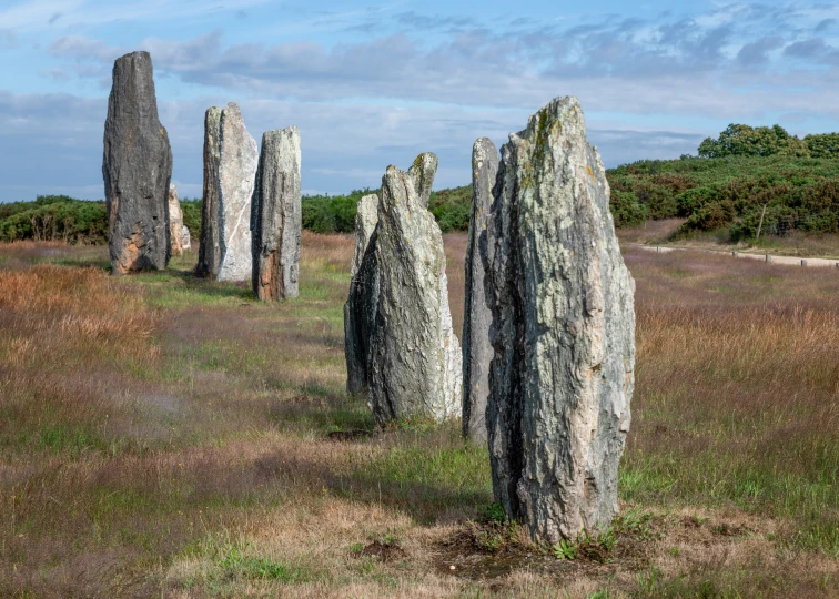 an assortment of rocks sitting in the middle of a field