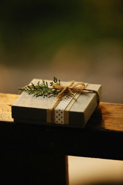 a small piece of christmas present sitting on top of a wooden bench