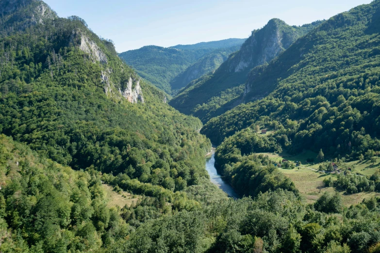 river in a valley with trees and green mountains