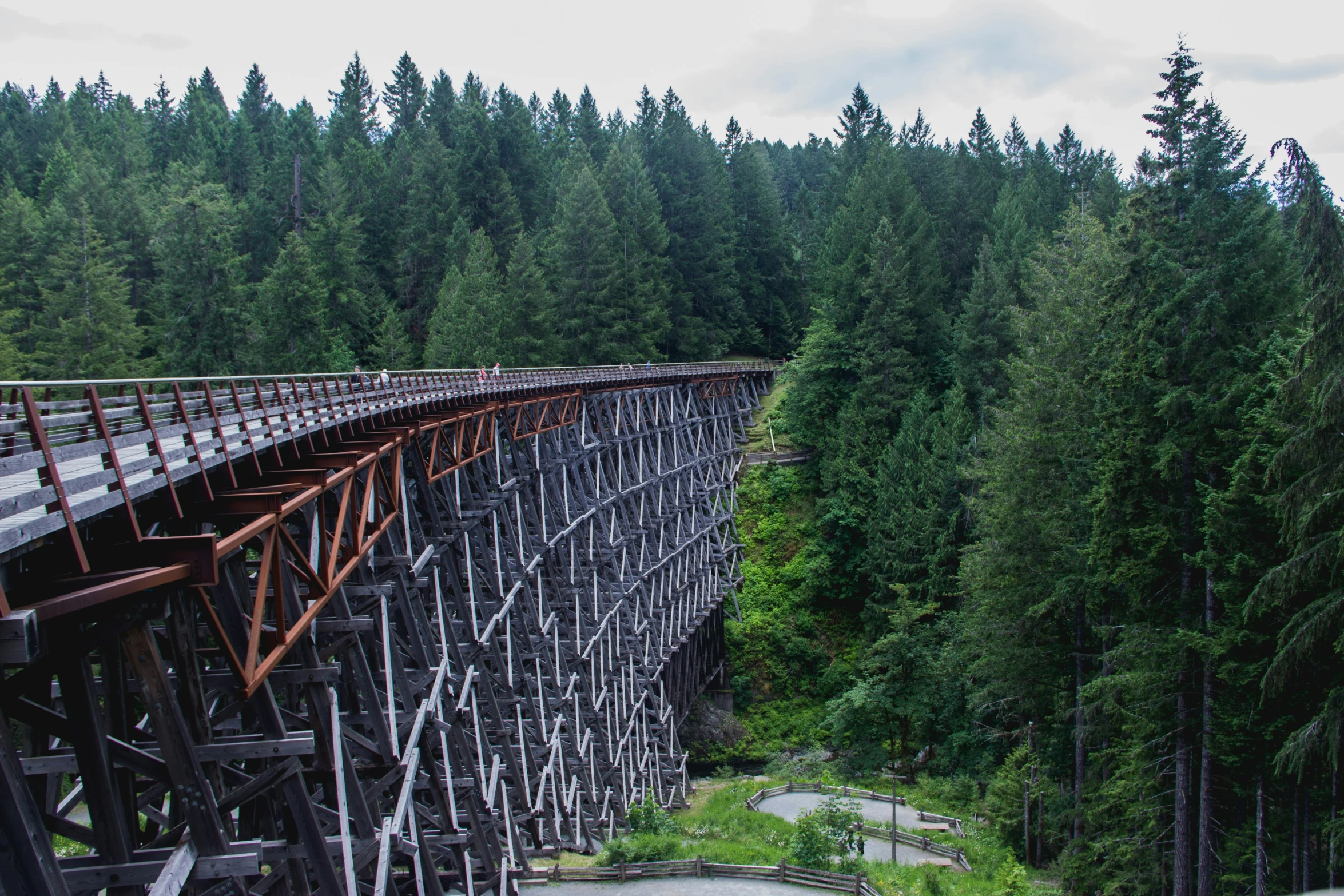 an elevated bridge on a narrow stream in the woods