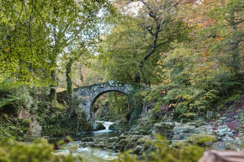 a stone bridge surrounded by greenery in the countryside