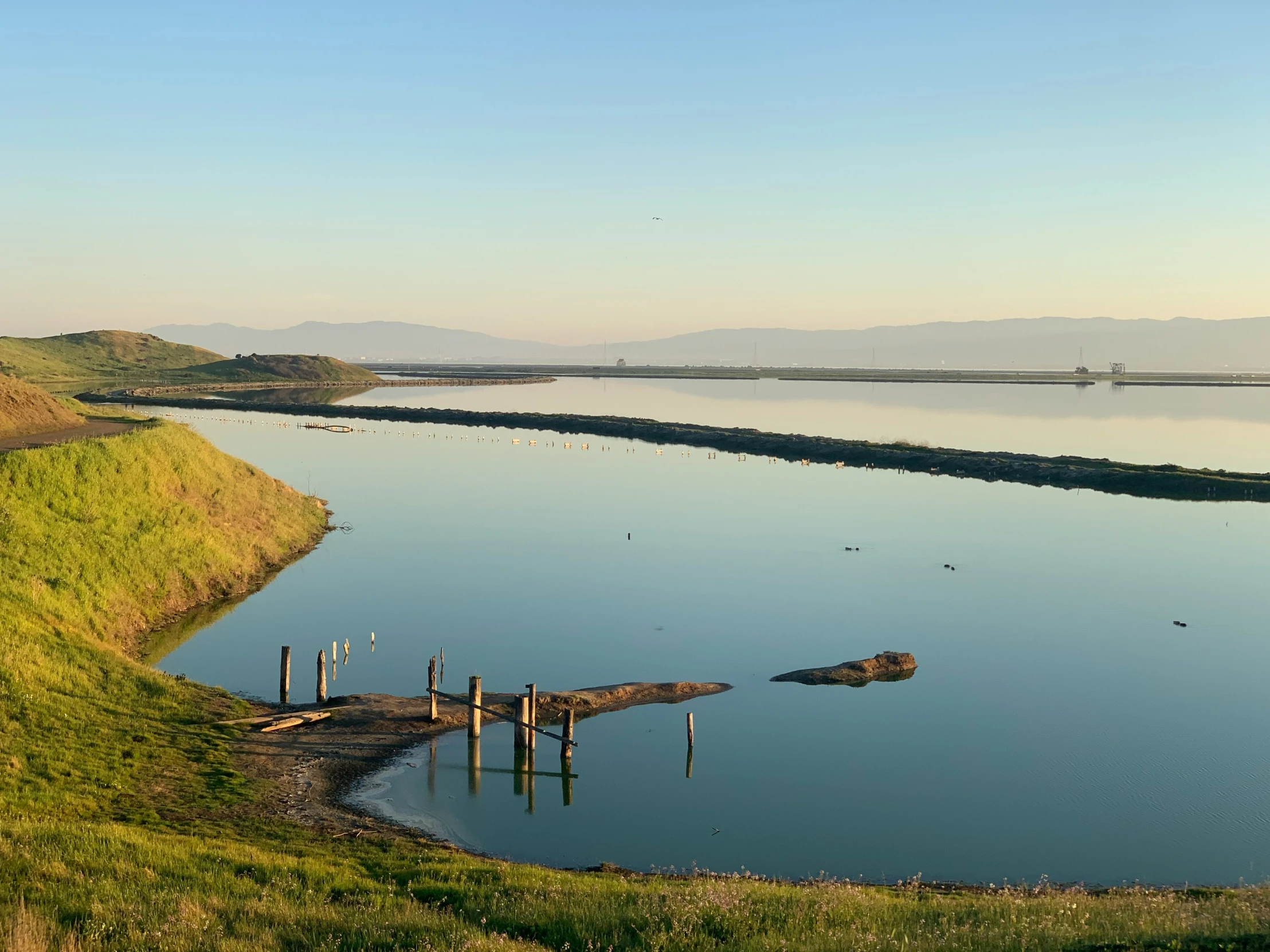 this is an image of water and a dock in the grass