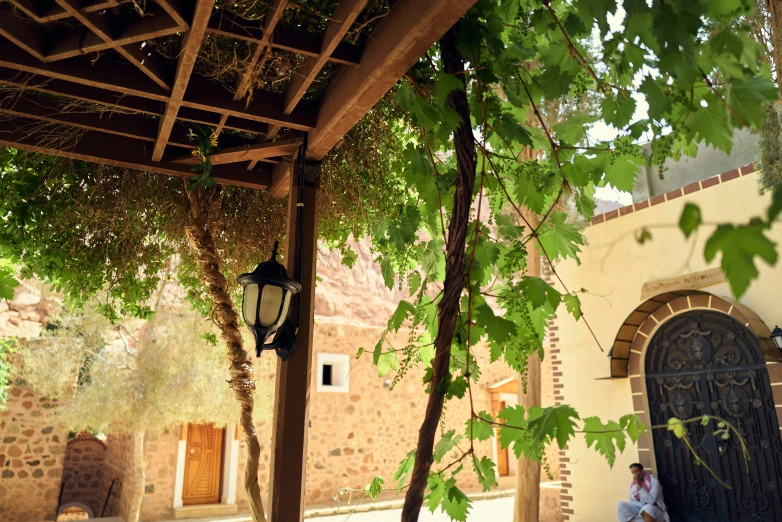 an old patio with a lot of shade and green plants