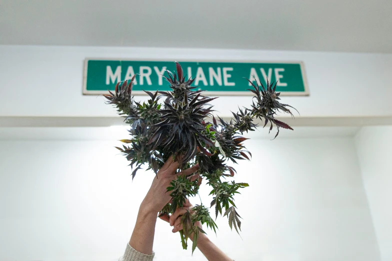 a group of people putting plants in a planter on top of a street sign