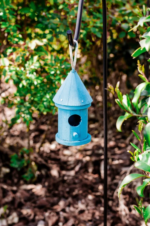 a blue bird house is hung from a pole