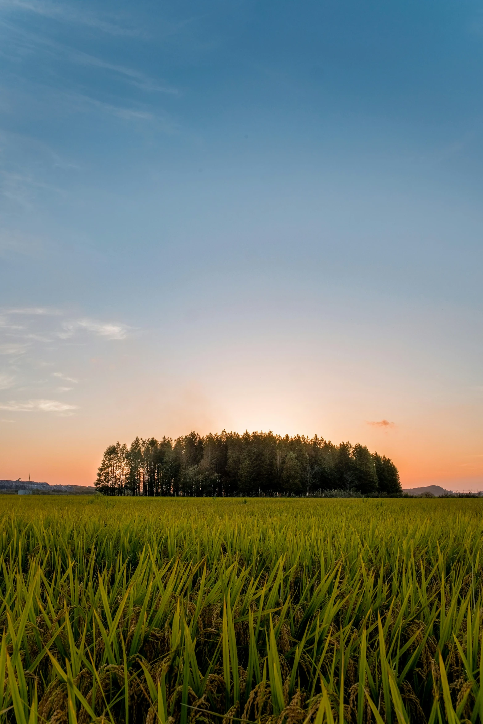 a view of the sunset with an old barn in the distance