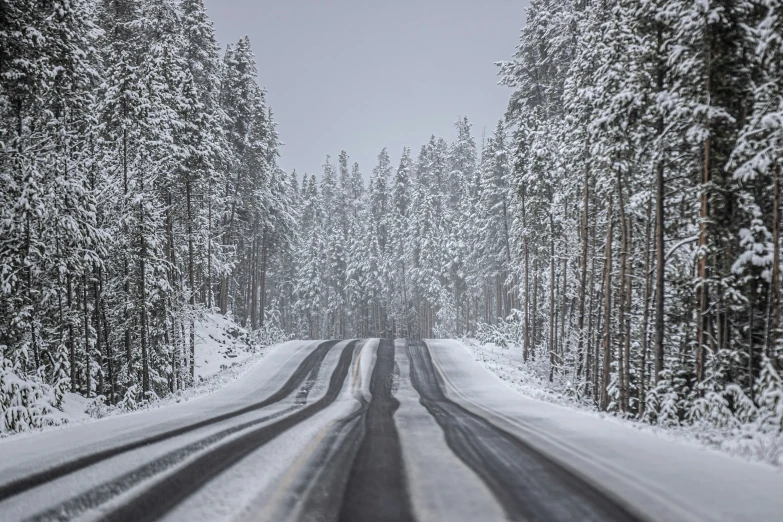 a snow covered road surrounded by trees