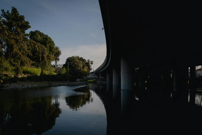 bridge going over a body of water with palm trees near by