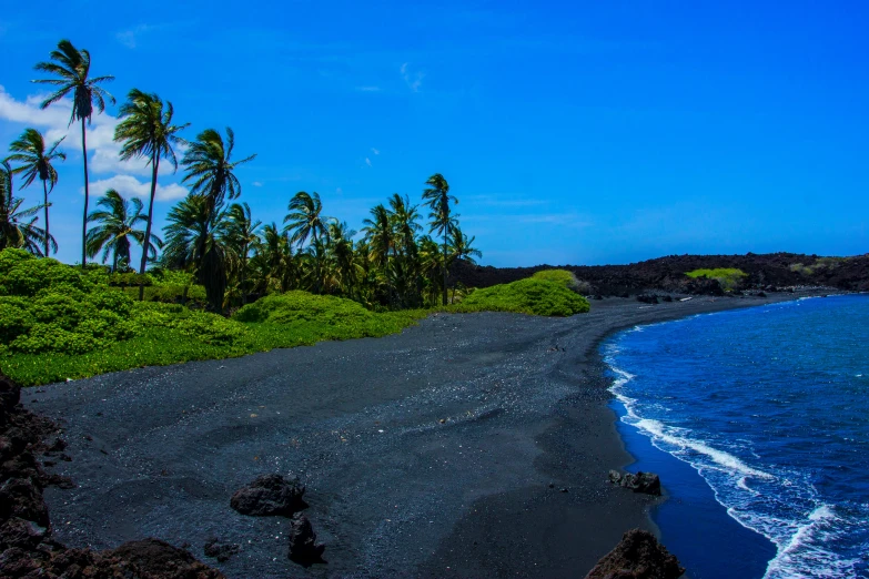 an ocean, black sand beach with some palm trees