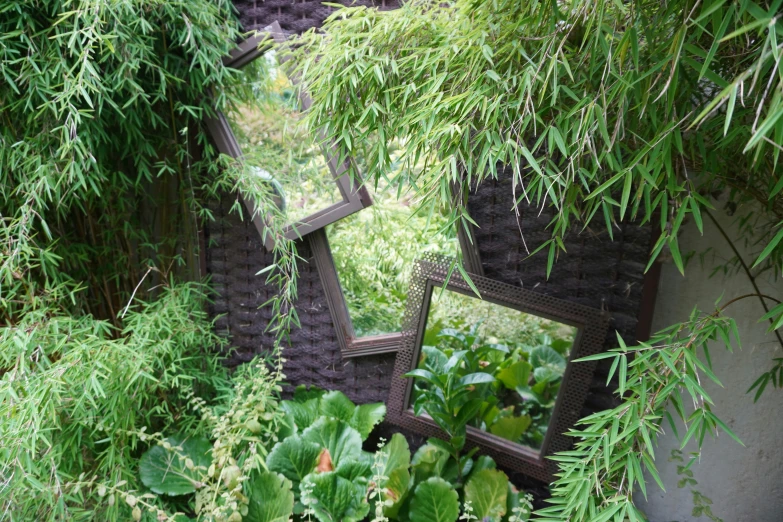 three mirrors surrounded by different types of green plants