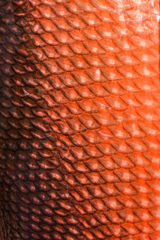 the texture of an object with red and orange colors