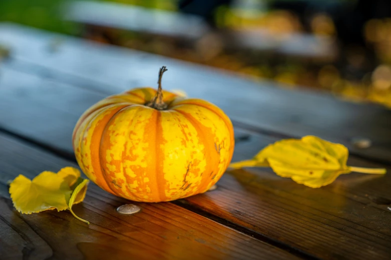 the small yellow pumpkin is on the wood table