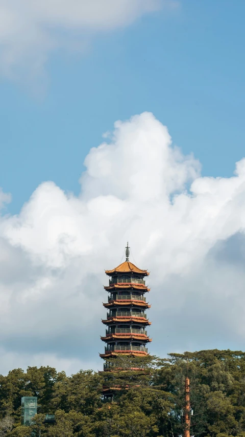 a tall tower stands in the middle of trees