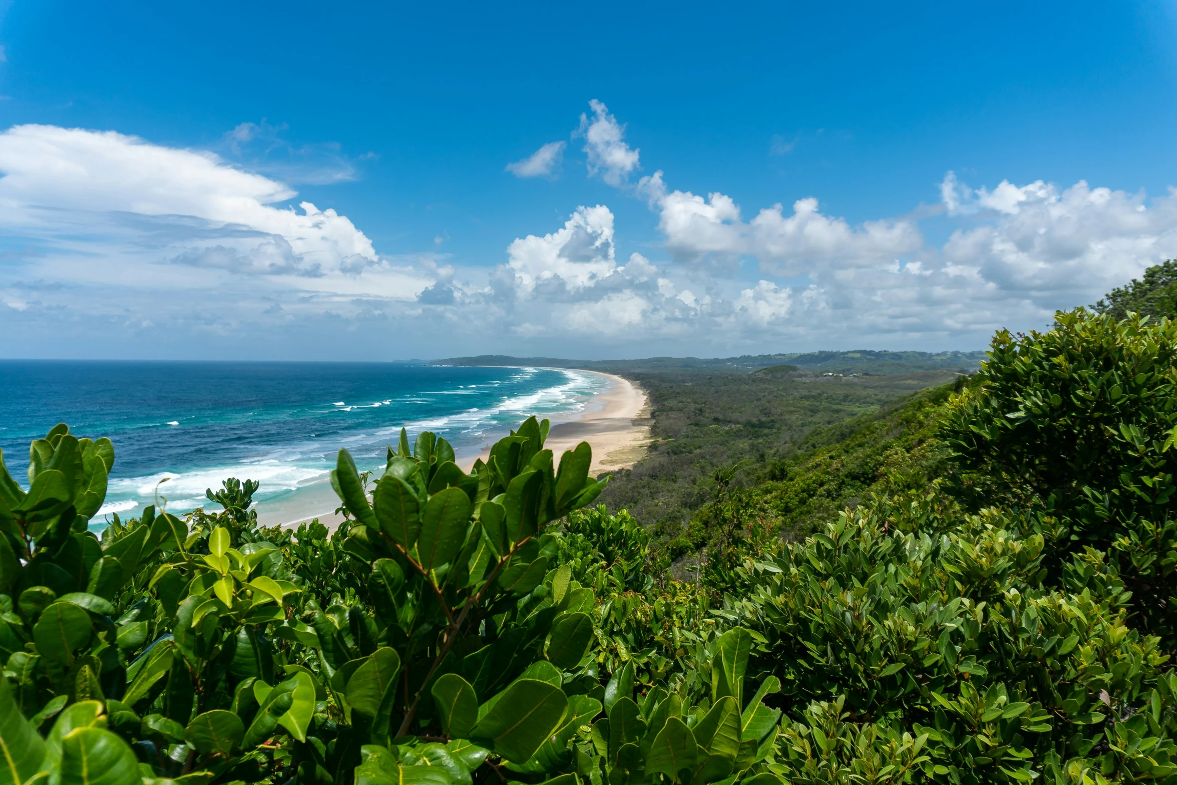 green trees on the side of a beach with white clouds in the background