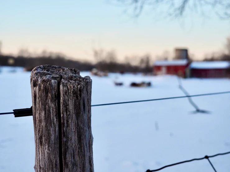 a close up of a fence post in the snow